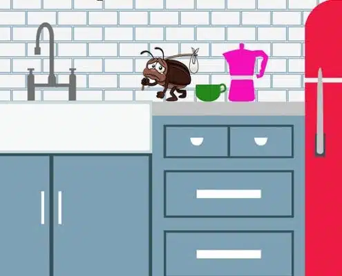 tipos plagas en la cocina