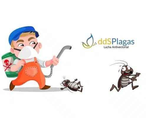 control de plagas castellon