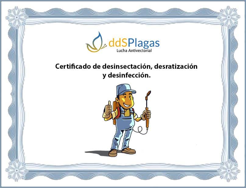 certificado control de plagas