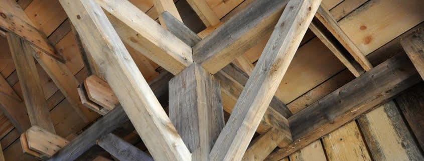 eliminar carcoma viga madera