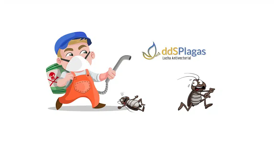 https://ddsplagas.com/wp-content/uploads/2022/09/control-plagas-godella.jpg.webp